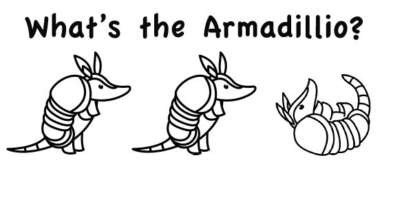Three armadillos in different poses
